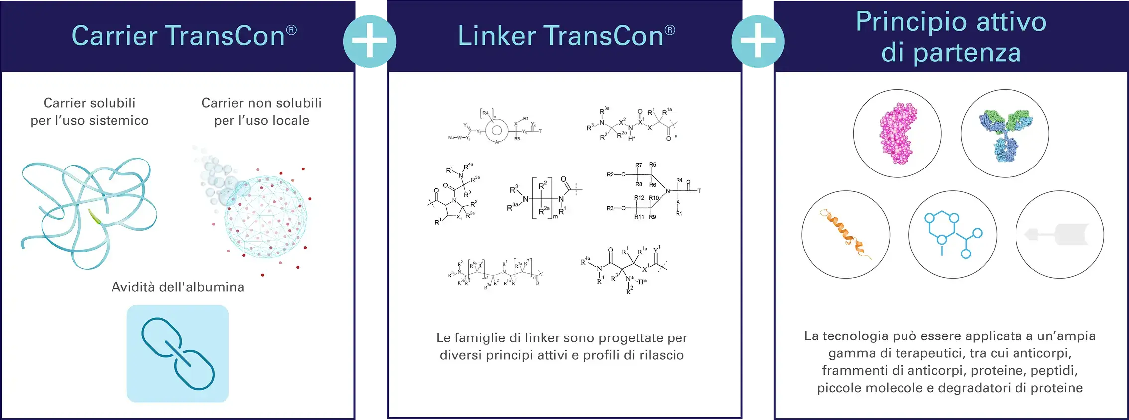 TCTechnologyTransientConjugationGraphic-TRANSPARENT@4x 1