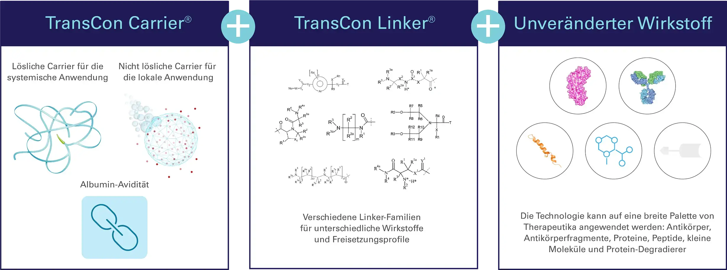 TCTechnologyTransientConjugationGraphic_DT_GE@4x 1